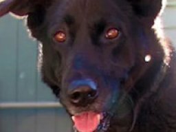 wolador_1_20220628_1599966644